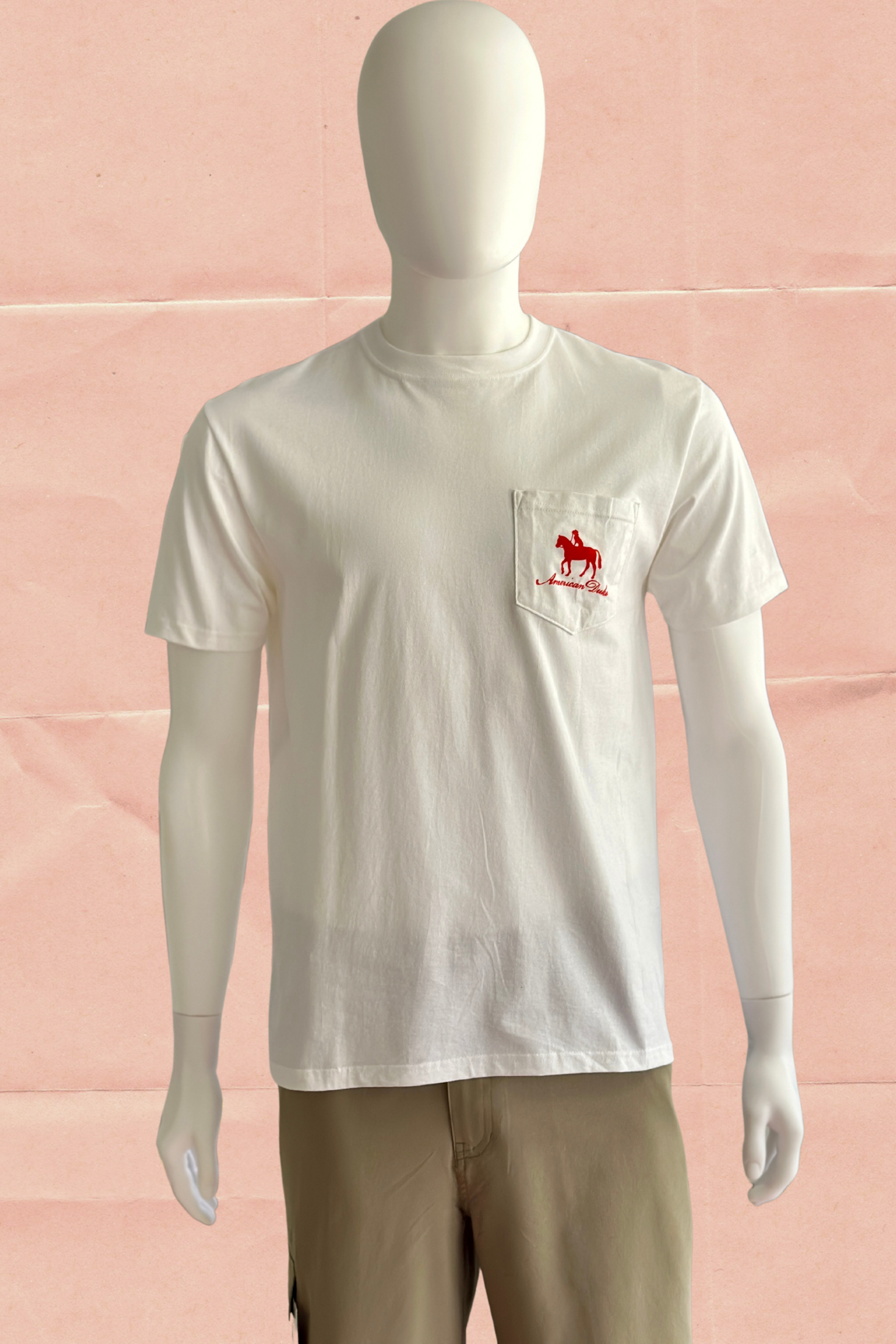 God Bless the Lone Star State t-shirt