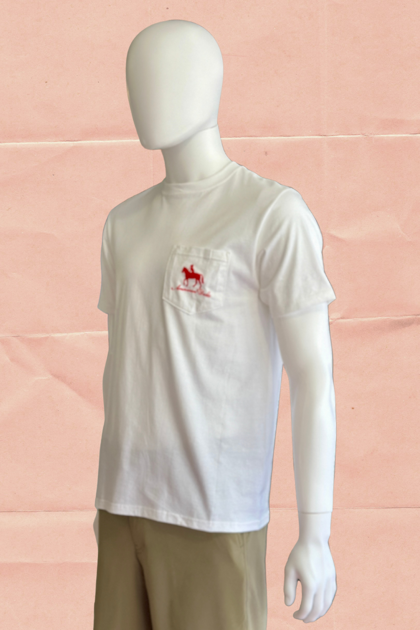 God Bless the Lone Star State t-shirt