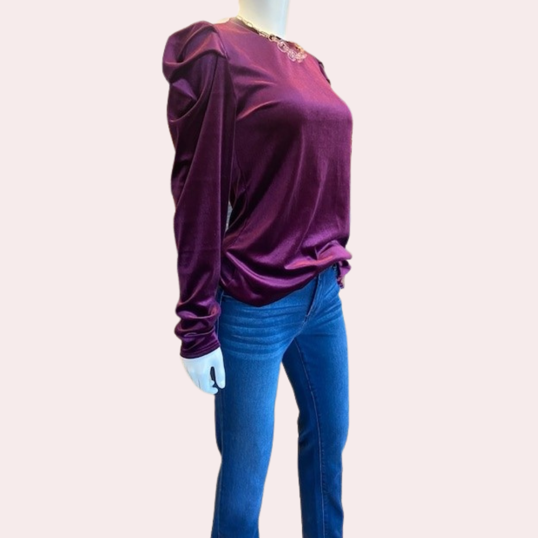 Purple velvet long sleeve top